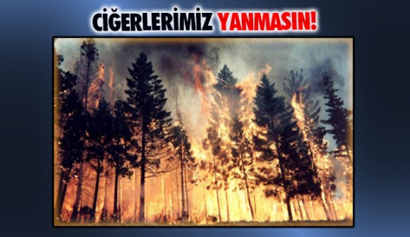 ASLAN; 'İzmir Valiliğimizin Aldığı Kararı Yangın Riski Olan Bütün Bölgelerimizden de  Bekliyoruz'